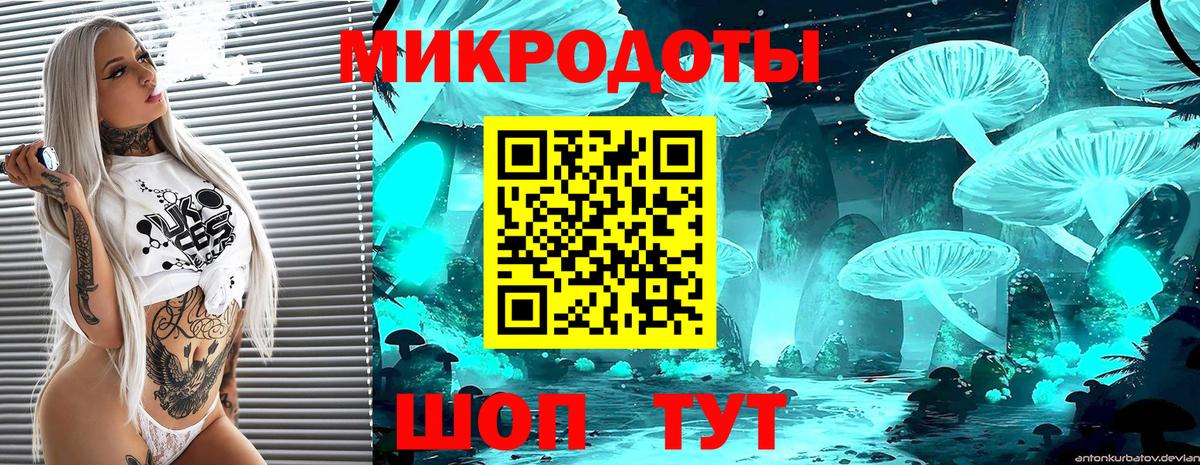 Славянск-на-Кубани  Галлюциногенные грибы мухоморы  Вход с VPN 