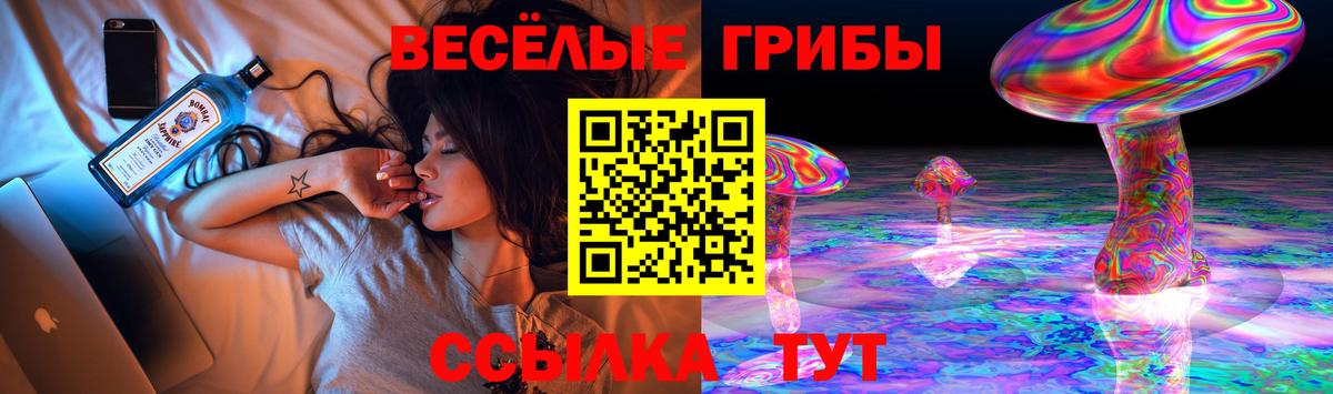 Галлюциногенные грибы GOLDEN TEACHER Славянск-на-Кубани